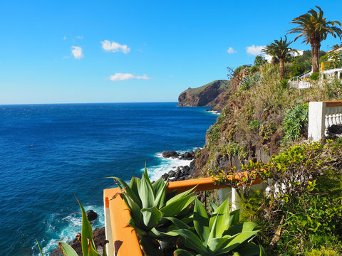 Madeira - Canixo de Baixo
