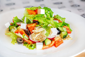 Vegetable and cheese salad on a white plate