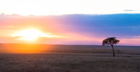 Obraz na płótnie Canvas Sonnenuntergang in der Massai Mara