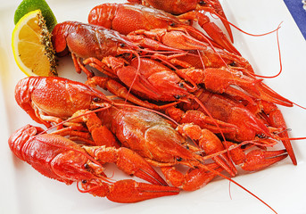 Cooked crayfish on a plate on the table
