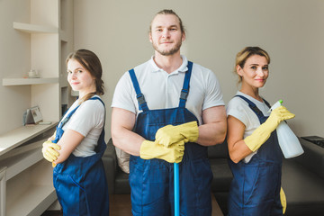 Cleaning service with professional equipment during work. professional kitchenette cleaning, sofa...