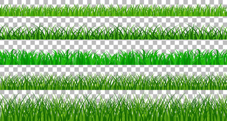 Naklejka premium Collection Green Grass spring There are many form isolated on transparent background, Vector Illustration