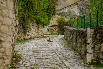 Rue en pierre pavé, un chat dans la rue. Provence, France.	
