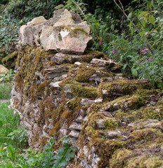 Drystone Wall