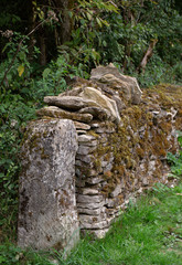 Fototapeta na wymiar Moss on Drystone Wall