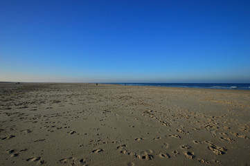  Plaża pod niebieskim bezchmurnym niebem.