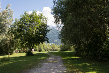 Fototapete bei efototapeten.de bestellen   