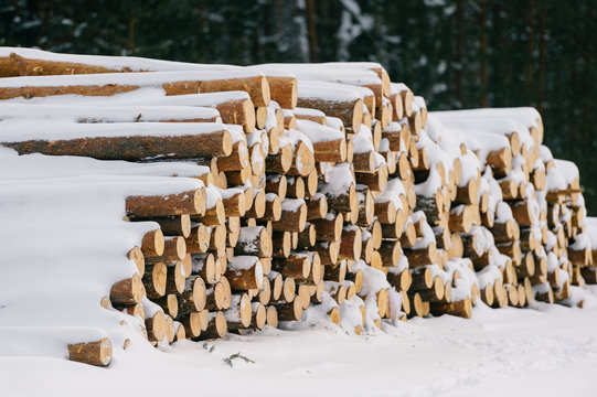 Stack of firewood in the snow close-up