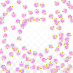 Vector Realistic Pink Petals Falling on Transparent Background.  Spring Romantic Flowers Illustration. Flying Petals. Sakura Spa Design. Blossom Confetti.