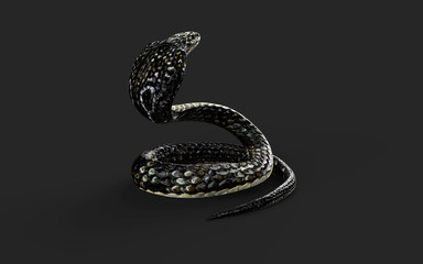 3d Illustration King Cobra The World's Longest Venomous Snake Isolated on White Background, King Cobra Snake with Clipping Path 
