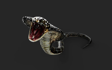 Fototapeta premium 3d Illustration King Cobra The World's Longest Venomous Snake Isolated on White Background, King Cobra Snake with Clipping Path 