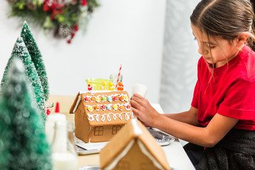 Christmas craft