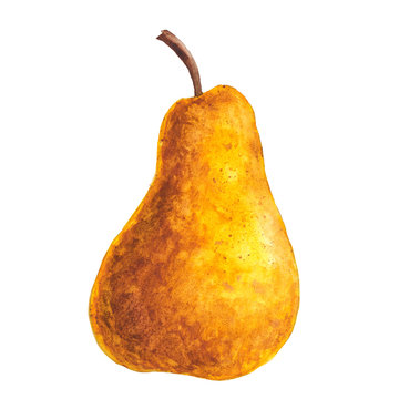 yellow watercolor pear on white background