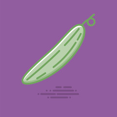 Cucumber vegetable vector filled line icon