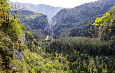Fototapeta na wymiar Autumn forest landscape in the mountains. Caucasian gorge in autumn.