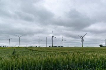 Fototapeta na wymiar Windkraftpark erzeugt Strom in der Natur