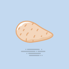 Sweet potato vegetable vector filled line icon