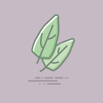 Spinach vegetable filled line vector icon