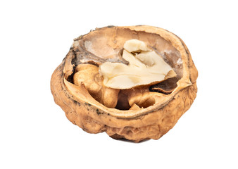 Half walnut isolate
