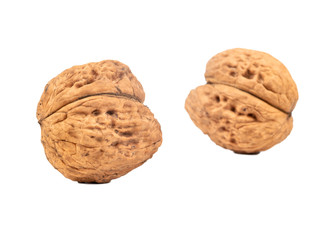 Two big walnuts