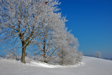 Winterlandschaft auf dem Filsenberg, Schwäbische Alb, Deutschland