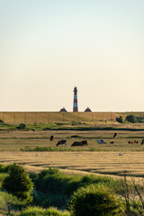 Weites l&auml;ndliches Feld mit Leuchtturm am Horizont.
