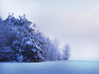 Piękny zimowy śnieżny krajobraz