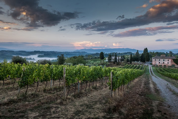 Fototapeta premium Peccioli, Pisa, Tuscany - Countryside landscape