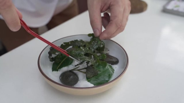 Cook prepares fresh oyster with spices on top for appetiser in the hotel