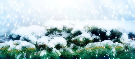 Foto auf Alu-Dibond Christmas border background spruce branch in the snow falling snow holiday atmosphere © Konstantin