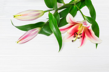 Beautiful pink lily flowers on wooden background, with space for text. Perfect image for: lilies flowers, white and pink lily flower, florist, garden, autumn flowers bouquet etc.