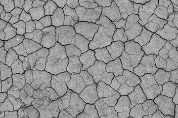 Cracked and dried mud backgroud