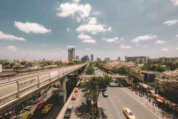 Landscape view of Paholyothin road near BTS Mo Chit on April 8, 2017 in Bangkok, Thailand. With full of Pink Trumpet Flower growing along the way including taxi and bus