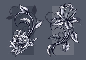 Graphic detailed graphic black and white roses flower with stem and leaves. On gray background. Vector icon set. Vol. 9 © GB_Art