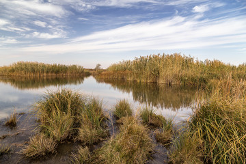 A beautiful river with reed on its shore and its reflection on the water.