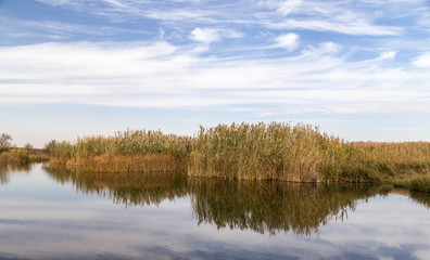 A beautiful river with reed on its shore and its reflection on the water.