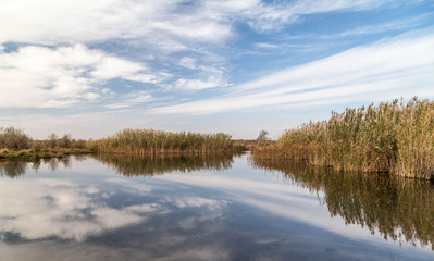 A beautiful river with reed on its shore and its reflection on the water.