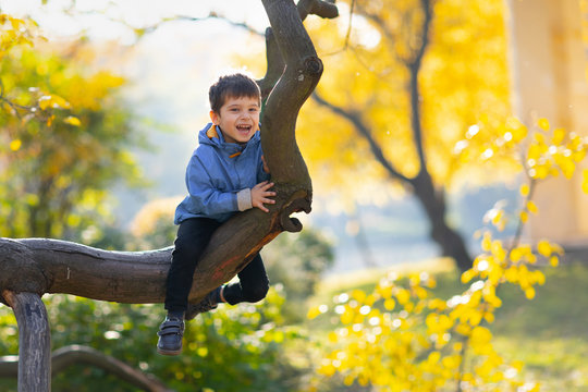 Little boy on a tree branch. baby climbs a tree