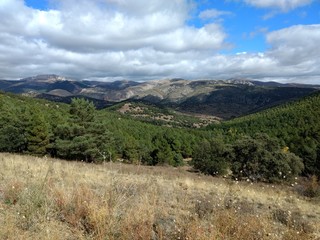 A typical Aragon landscape, with yellow grass, pine and fir forests, low clouds and blue sky in...