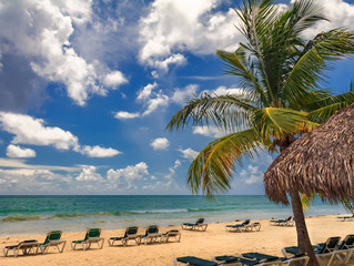 Beach chairs by the turquoise water on a tropical beach with a palm tree in the foreground in the Caribbean sea, Freeport, Bahamas