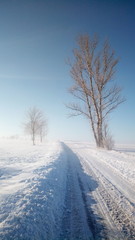 Obraz premium Geräumte Strasse im Winter