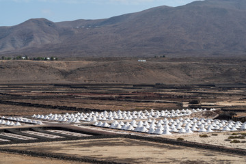 Salt flats at Salinas de Janubio, Lanzarote, Canary Islands, Spain