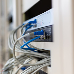 network cables connected in network switches hub