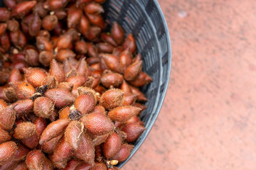 Salacca is a genus of about 20 species of palms native to Southeast Asia and the eastern Himalayas