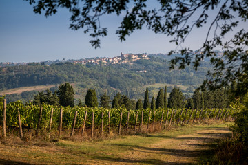 Peccioli, Pisa, Tuscany - Countryside landscape