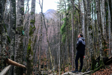 Fototapeta premium hiker in the forest