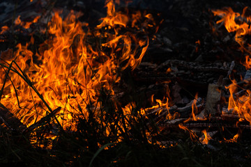 Burning down fire. Last embers and ashes