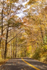 Otoño en Red River Gorge 