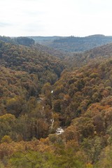 Otoño en Red River Gorge 