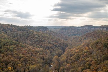 Fototapeta premium Otoño en Red River Gorge 
